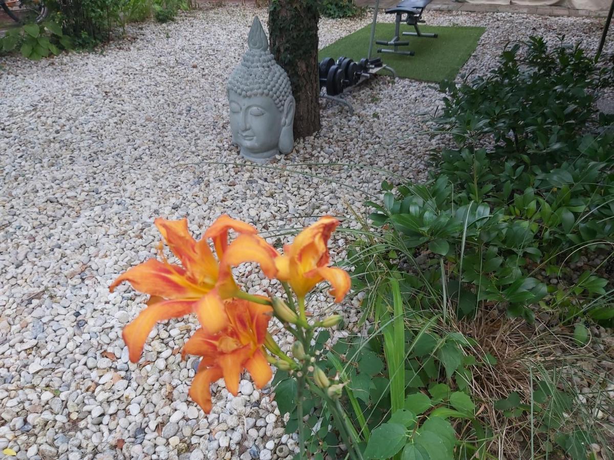 Relax BUNGALOW Terrace, 2 db TERASZOS FAHÁZ Siófok Kültér fotó